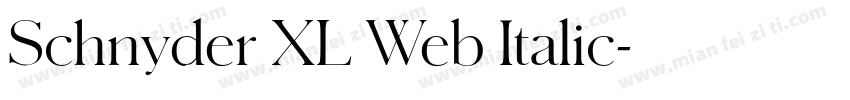 Schnyder XL Web Italic字体转换